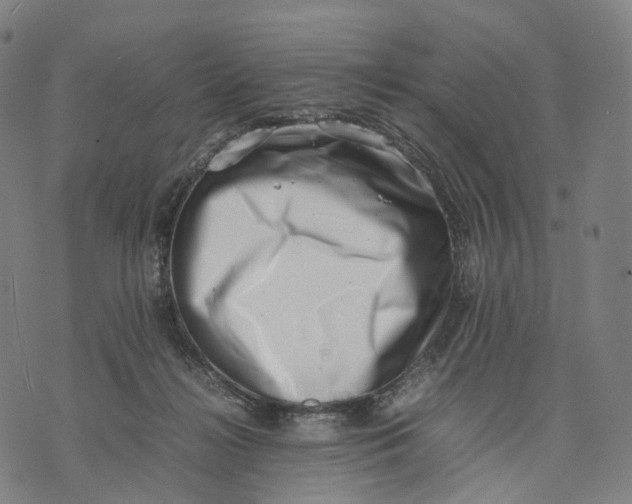 X0000074210268200609151604