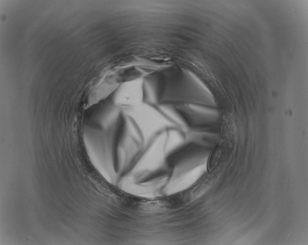 X0000074210269200609151604