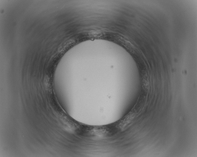 X0000074210270200609151604