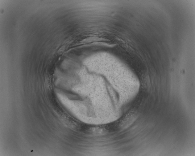 X0000074210272200609151604