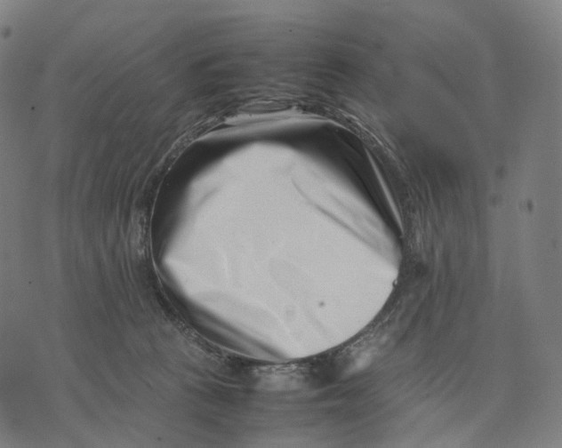 X0000074210273200609151604