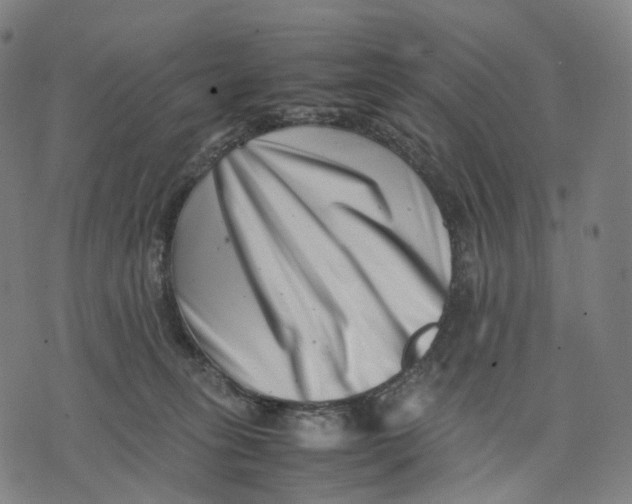 X0000074210275200609151604