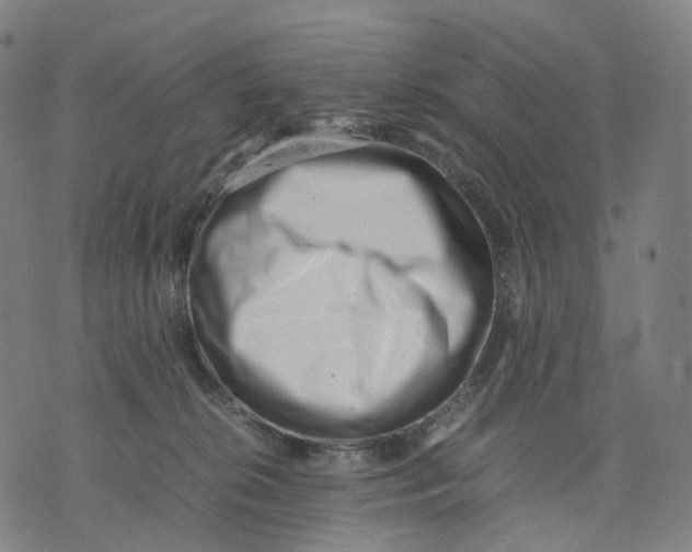 X0000074210276200609151604