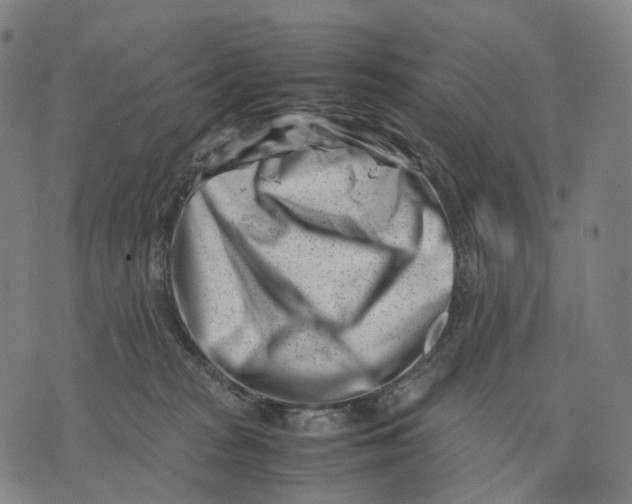 X0000074210277200609151604