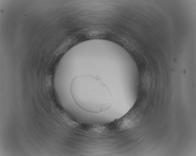 X0000074210278200609151604