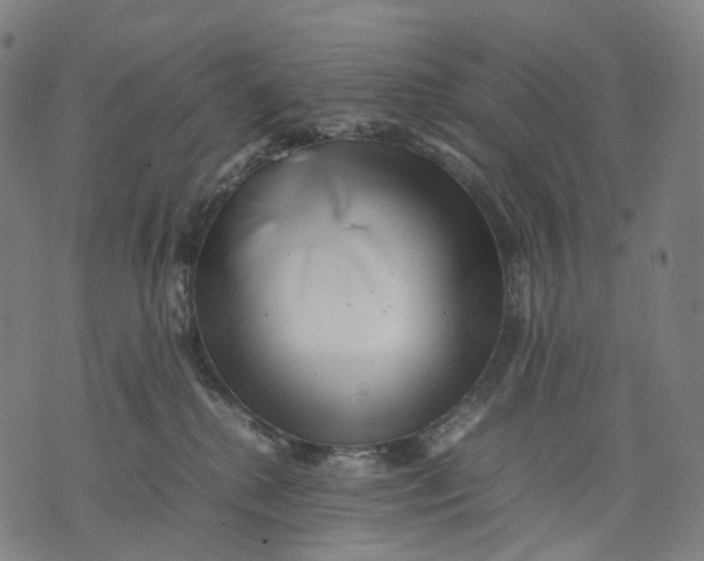 X0000074210280200609151604