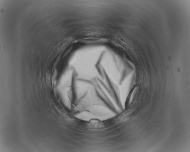 X0000074210281200609151604