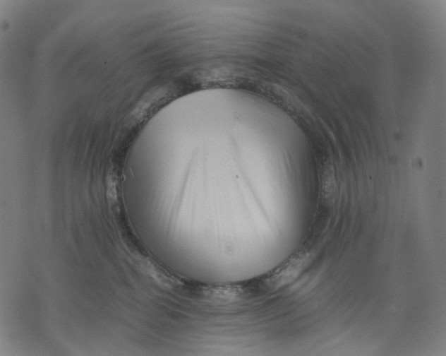 X0000074210282200609151604