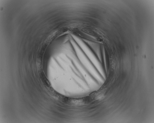 X0000074210283200609151604