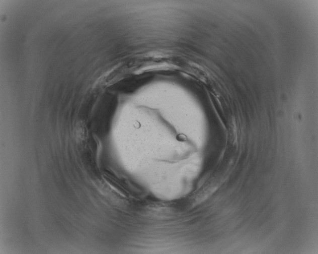 X0000074210284200609151604