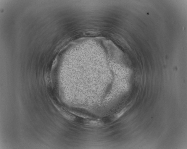 X0000074210285200609151604