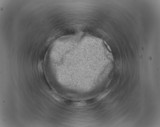 X0000074210286200609151604