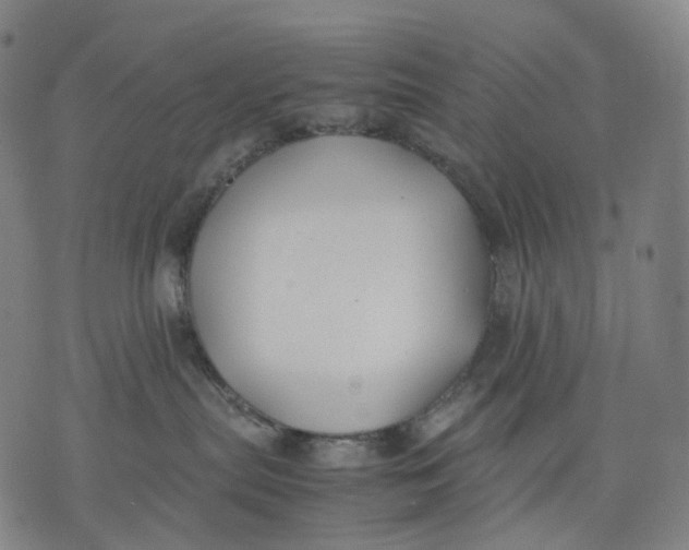 X0000074210287200609151604