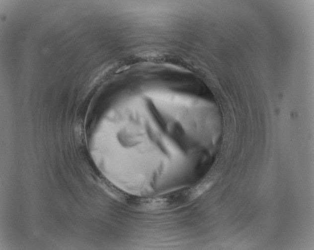 X0000074210288200609151604