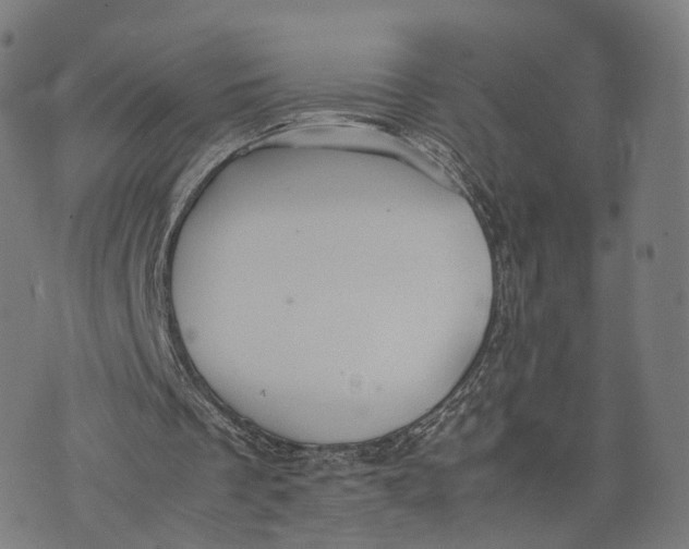 X0000074210289200609151603