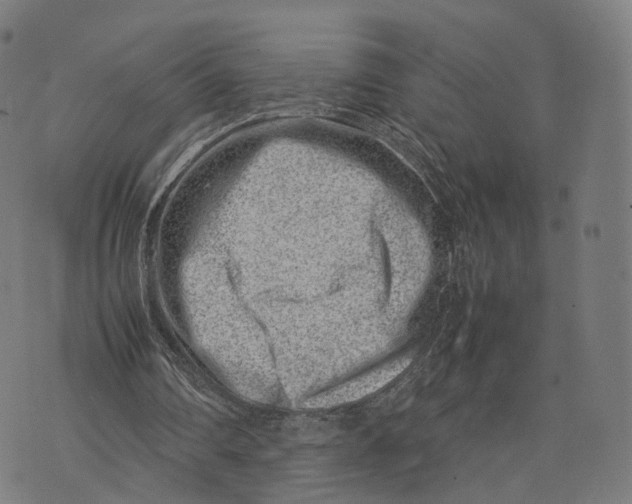 X0000074210290200609151603