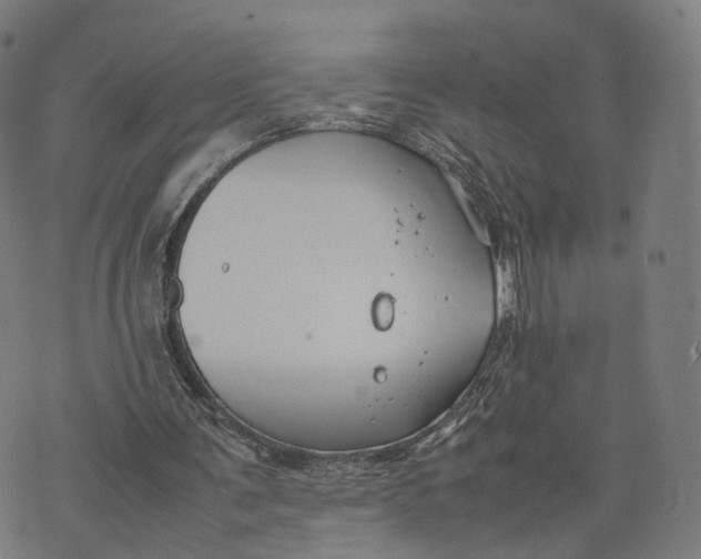 X0000074210291200609151603