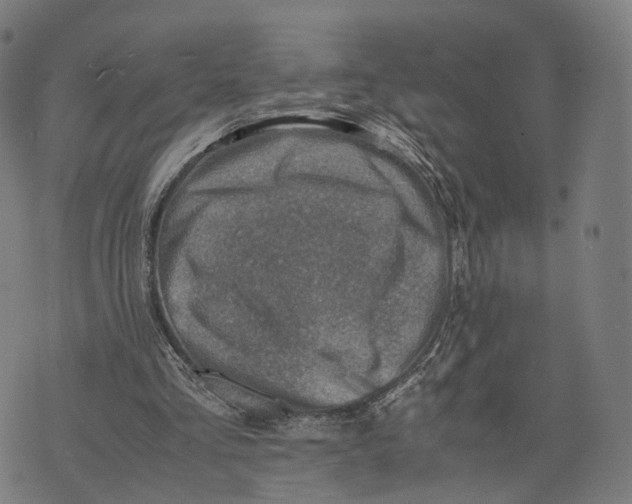 X0000074210293200609151603