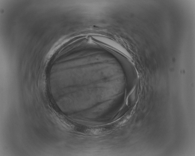 X0000074210295200609151603