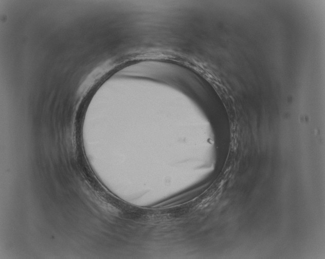 X0000074210296200609151603