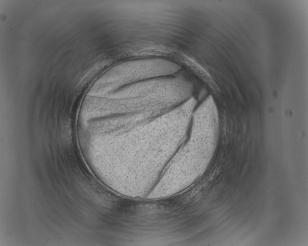 X0000074210298200609151603