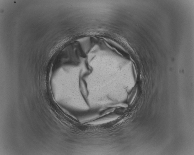 X0000074210299200609151603