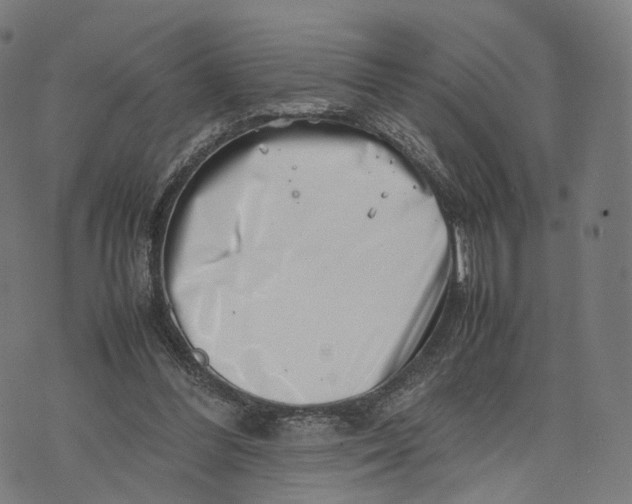 X0000074210300200609151603