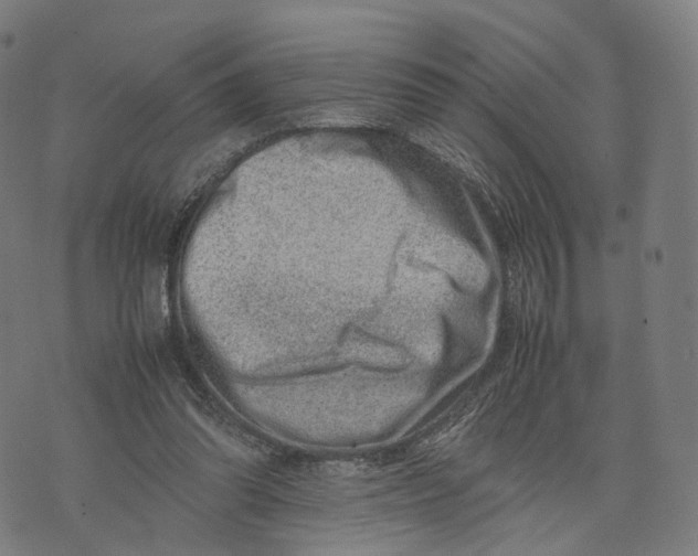 X0000074210302200609151603