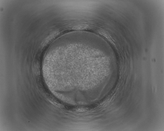 X0000074210303200609151603