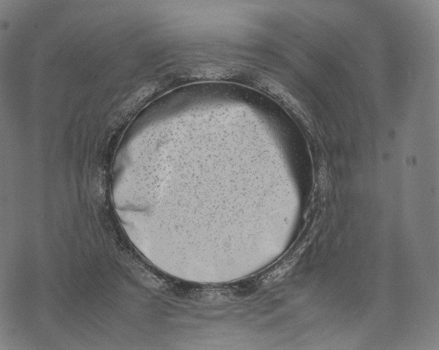 X0000074210305200609151603