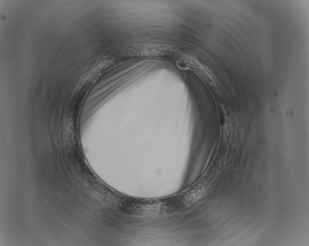 X0000074210306200609151603