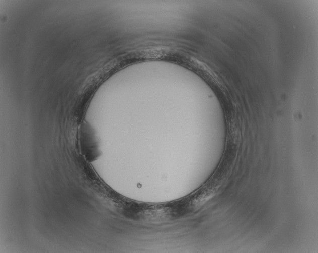 X0000074210307200609151603