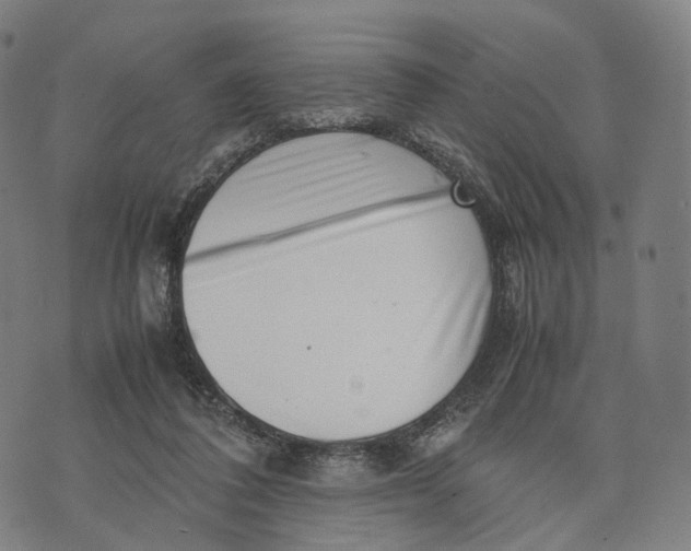 X0000074210308200609151603