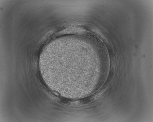 X0000074210309200609151603