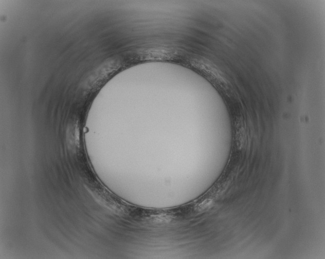 X0000074210310200609151603