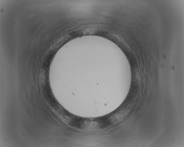 X0000074210311200609151603