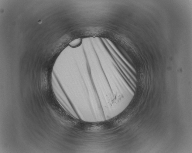 X0000074210312200609151603