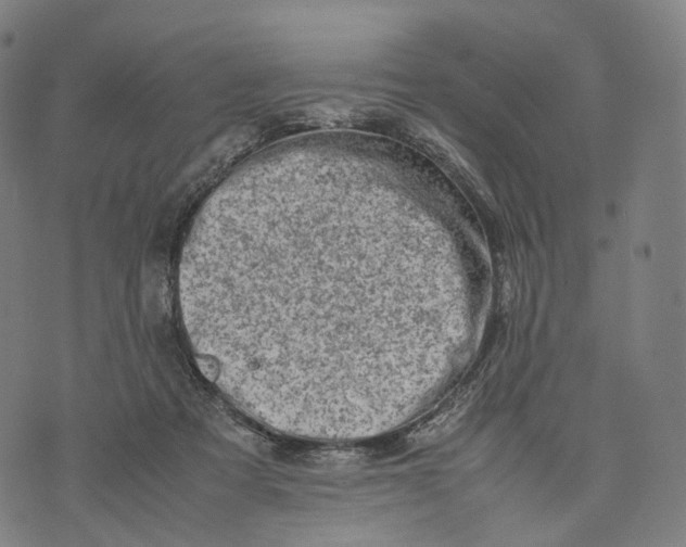 X0000074210313200609151603