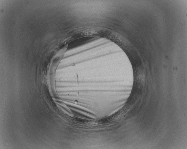 X0000074210315200609151603