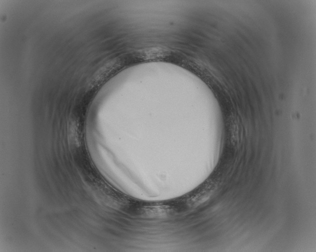 X0000074210316200609151603