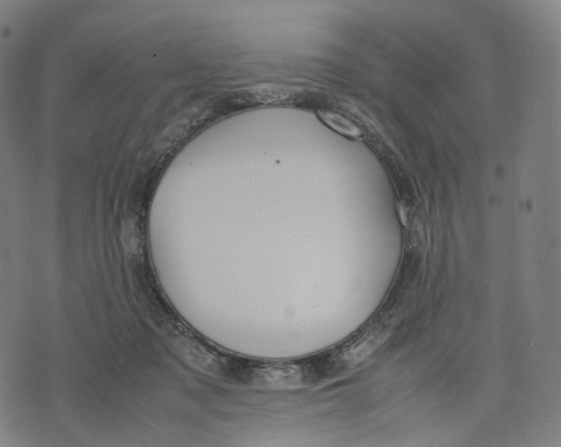 X0000074210317200609151602