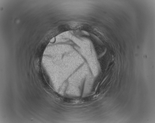 X0000074210319200609151602