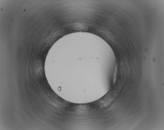 X0000074210320200609151602