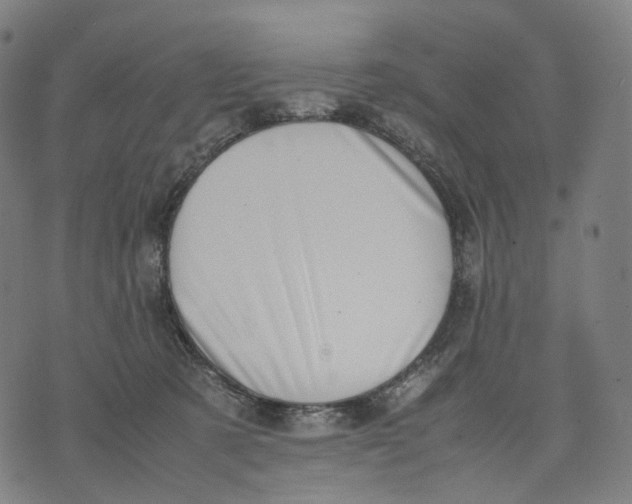 X0000074210321200609151602