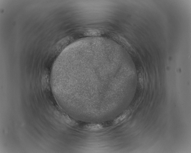 X0000074210322200609151602