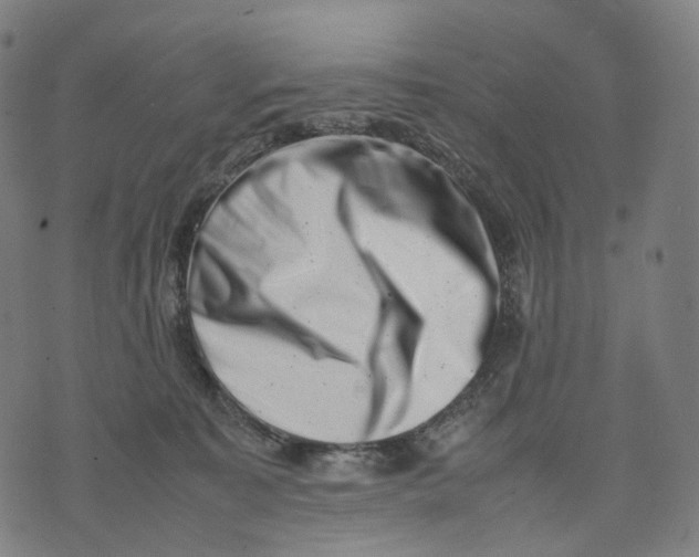 X0000074210323200609151602