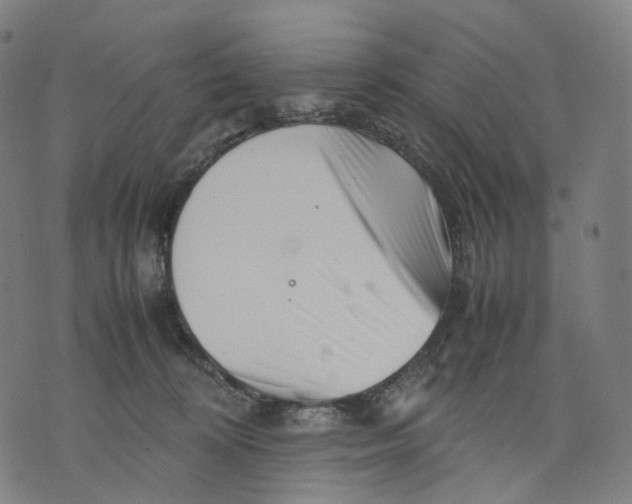 X0000074210324200609151602