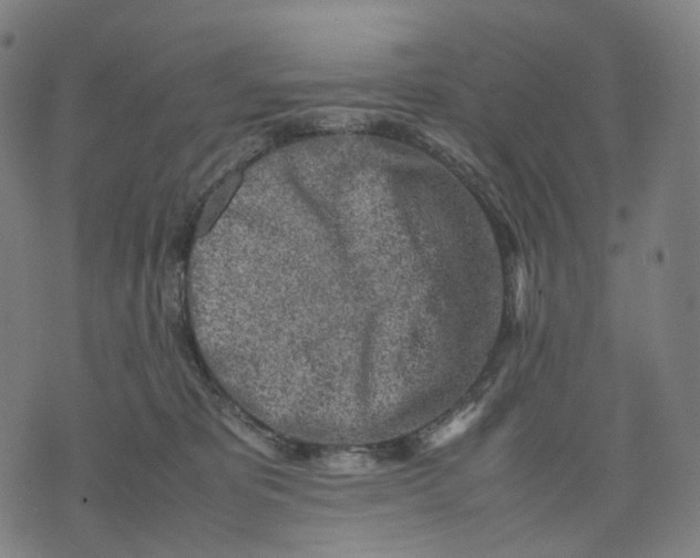 X0000074210325200609151602