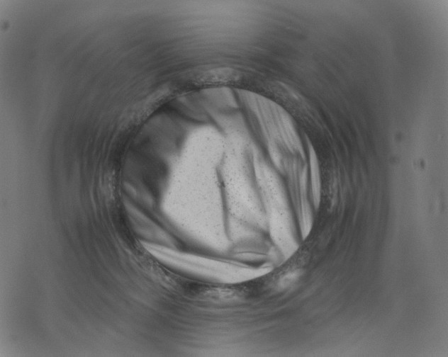 X0000074210326200609151602