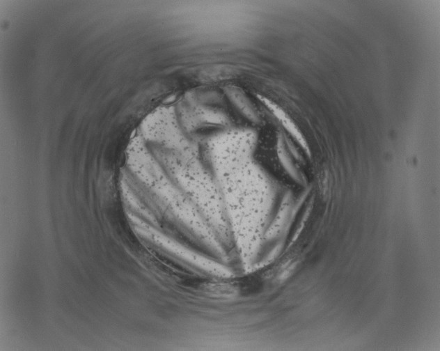 X0000074210327200609151602